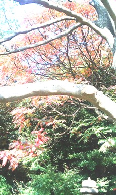 (21)休日ブログ「都内の庭園でチャージ！」