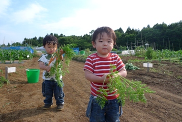 (8)親バ〇育児日誌「育てる愉しみ」