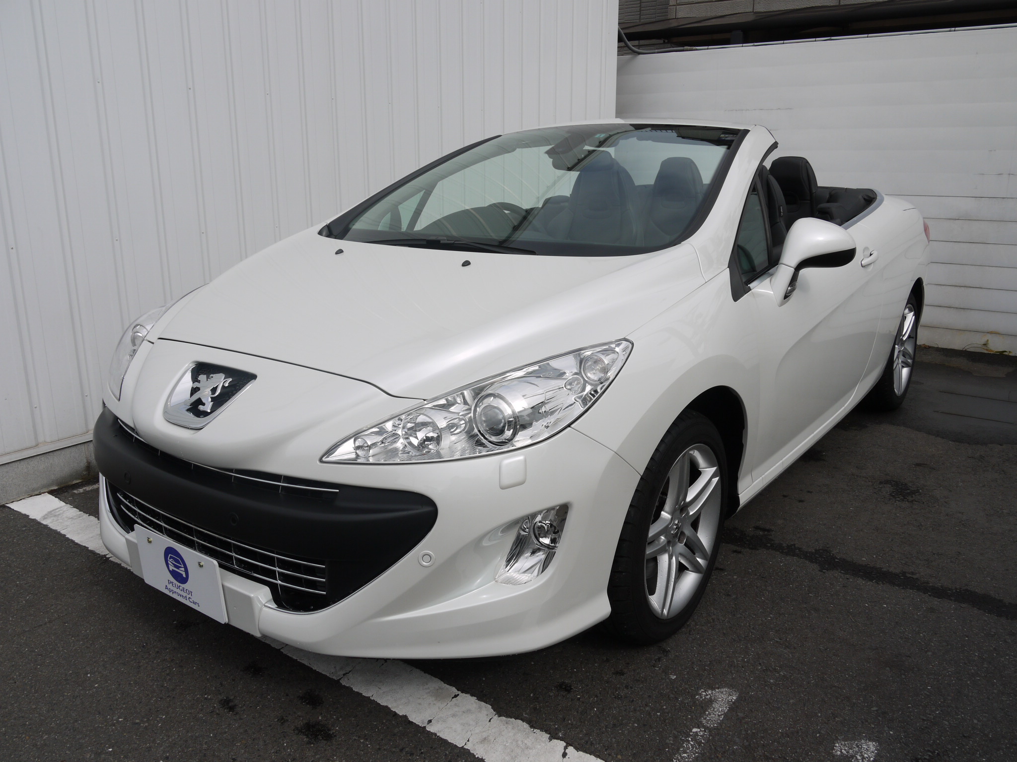 【お知らせ】試乗車特別販売のご案内