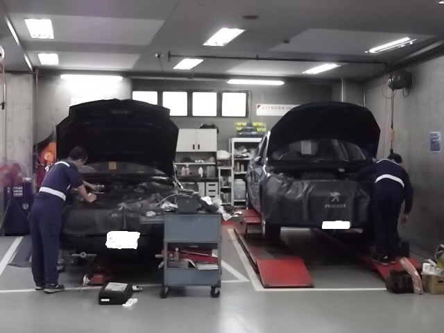 プジョーのメンテどうしてます？