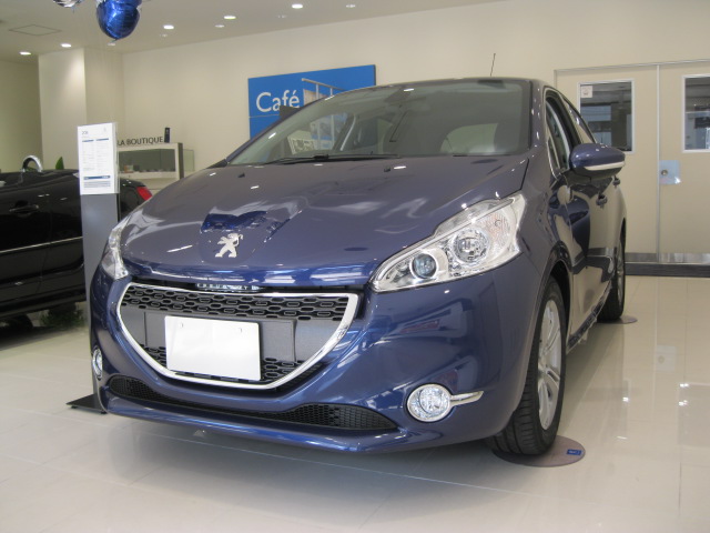 展示車情報