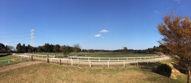 S様のご職業は競走馬の育成！