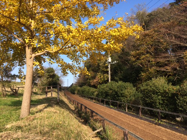 S様のご職業は競走馬の育成！