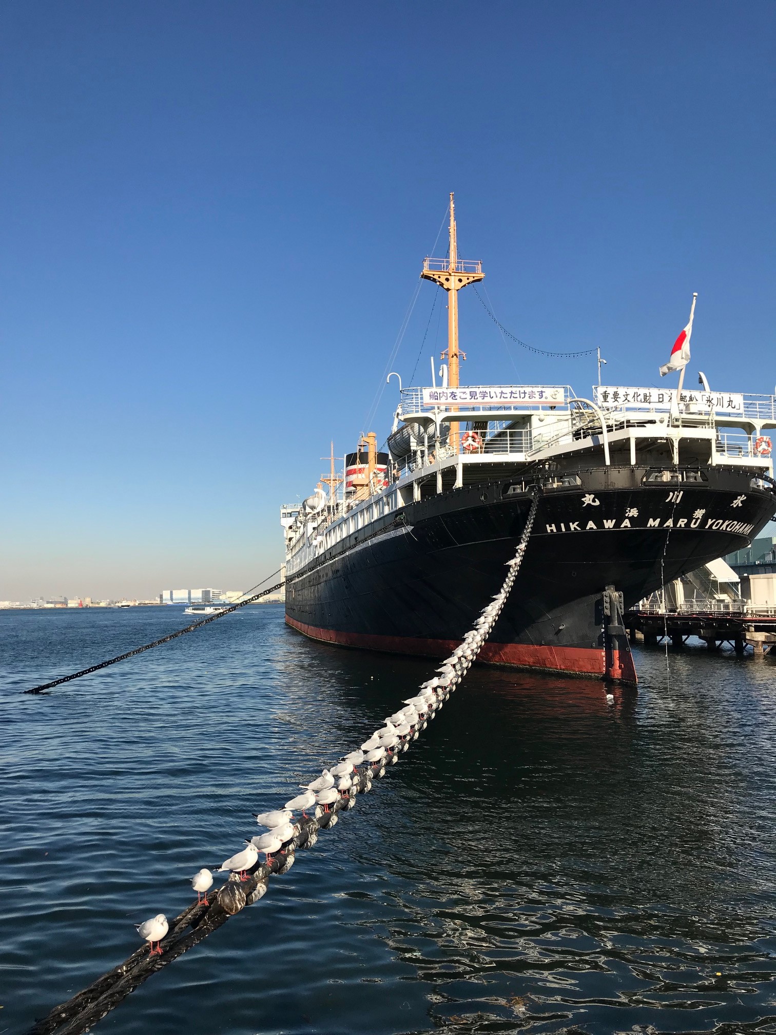 横浜山下公園。