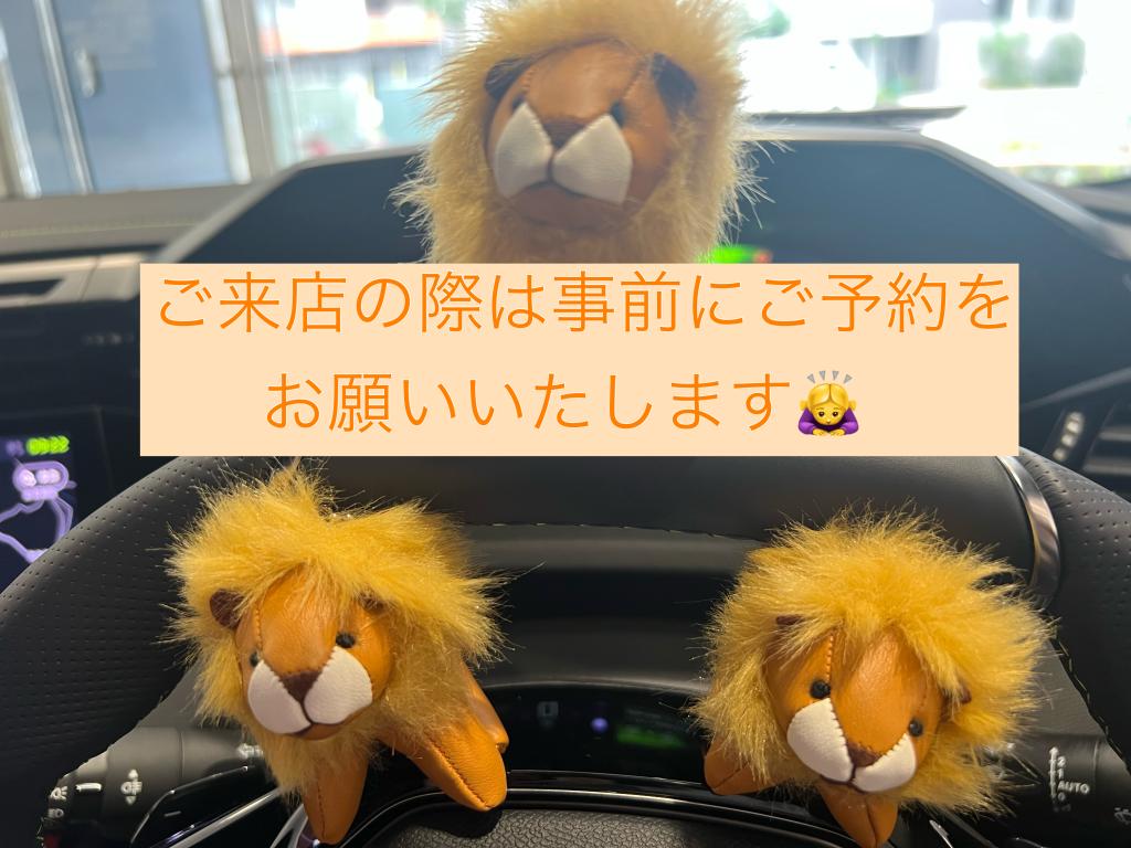 LITTLE LIONフェア　🦁くん配布終了のお知らせ