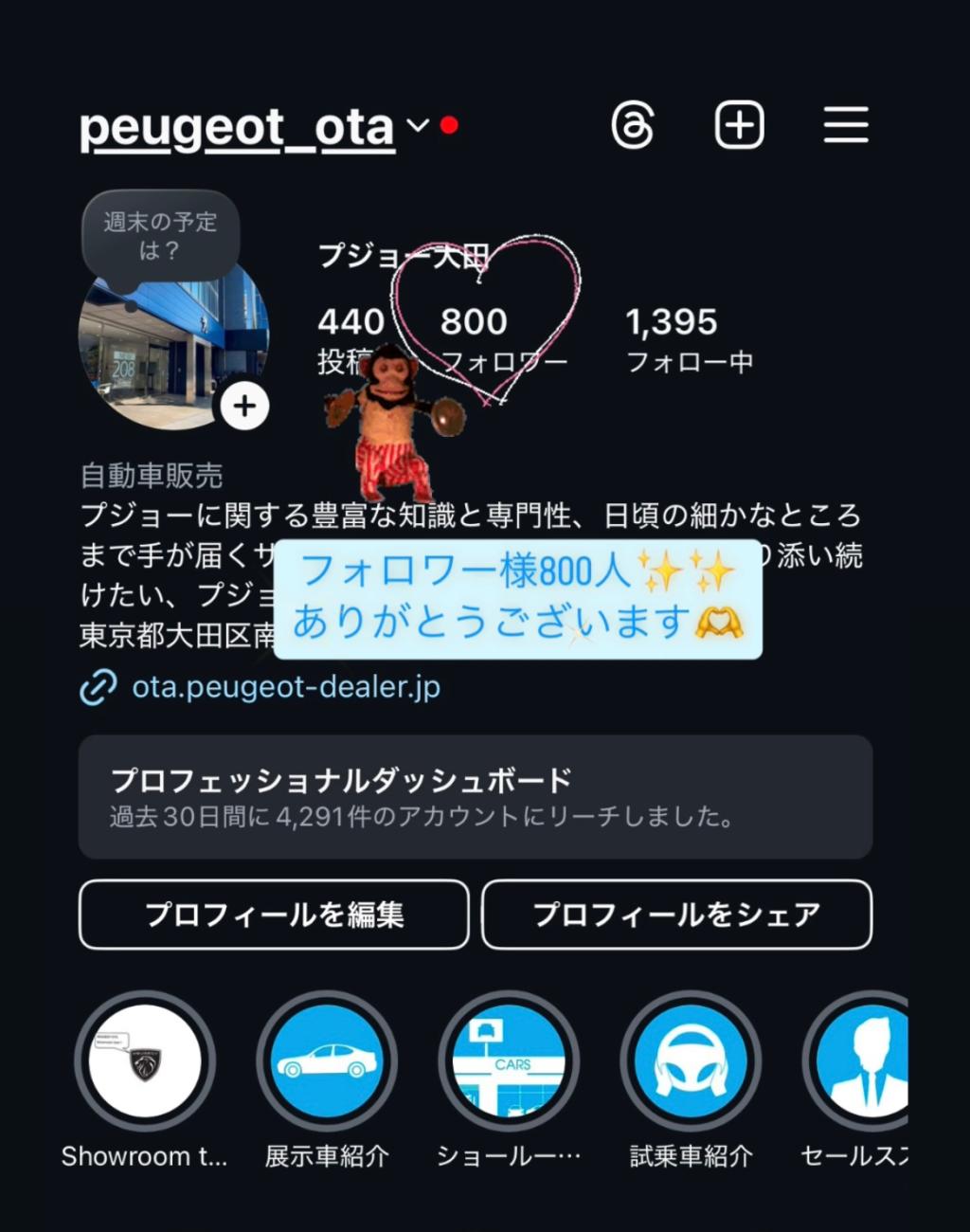 Instagramのフォロワー様が800人に🎊