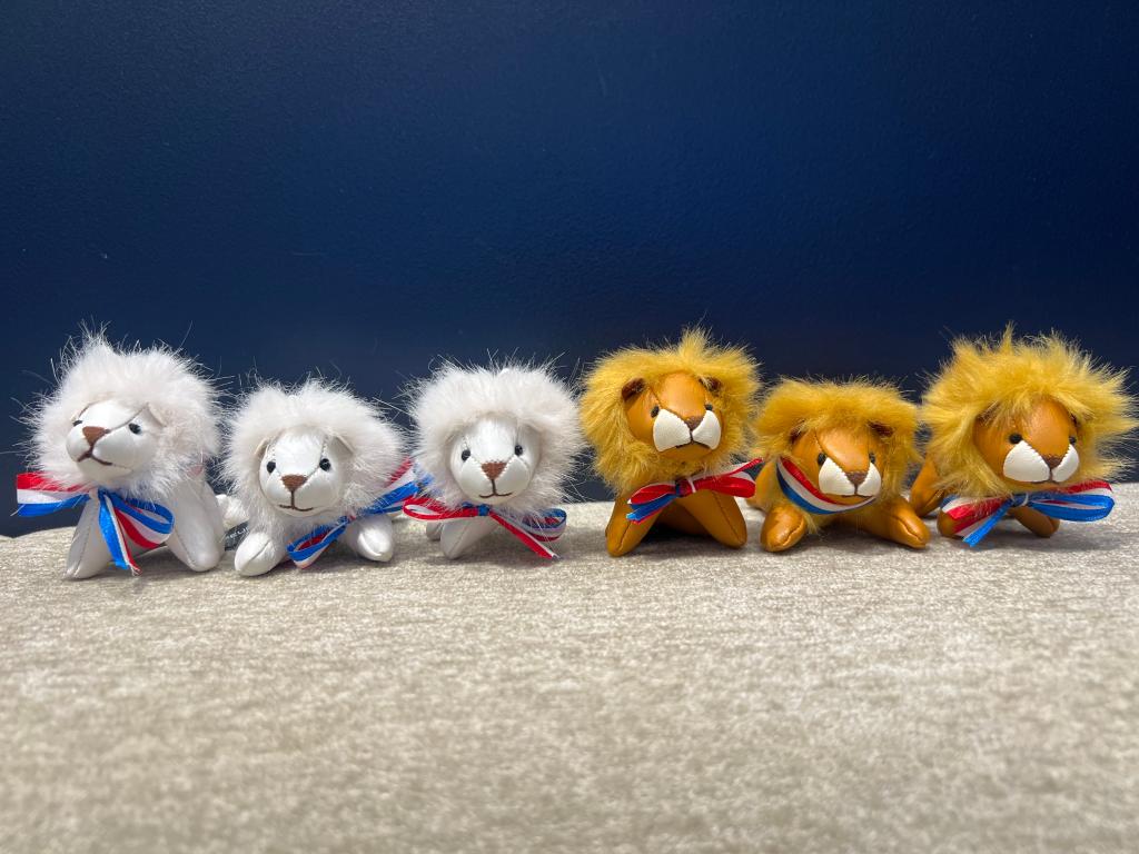 2025年もありがとうございました🌷