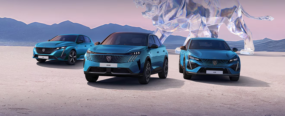 3月スペシャルオファー