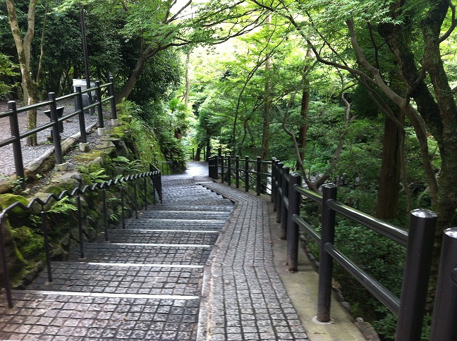 京都へ行って参りました２