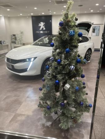 12月に入りました🎄