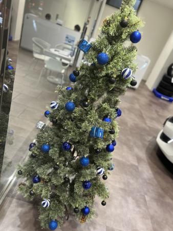 12月に入りました🎄