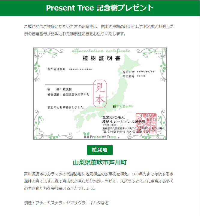 森を育てるプロジェクト🌳